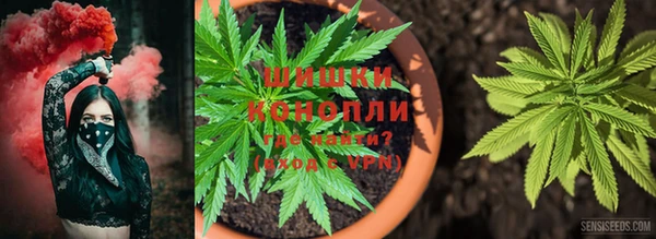 не бодяженный Аркадак