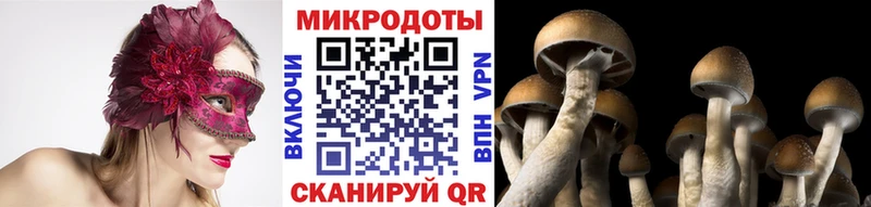 Галлюциногенные грибы ЛСД  Протвино 